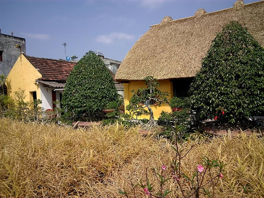 Nhà lợp mái rơm mái rạ là một kiến trúc phổ biến một thời ở các làng quê Việt Nam. Ngày nay, giữa những ngôi nhà cao tầng khang trang, tại Nam Định vẫn còn nhiều ngôi nhà mái rạ mộc mạc, giản đơn, giữ được cái hồn của vùng quê Bắc Bộ. Ảnh: SVietnam