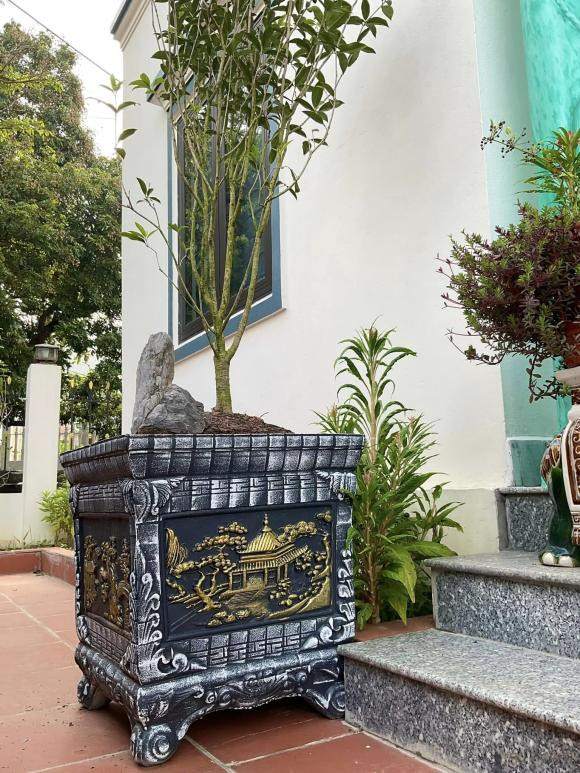 Cách đây không lâu, NSƯT Hồ Phong đón con thứ 4 ở tuổi 51. Trên trang cá nhân, ngoài gia đình và những vai diễn mới, NSƯT Hồ Phong còn thường xuyên chia sẻ ảnh trong khuôn viên nhà. Ảnh: FBNV