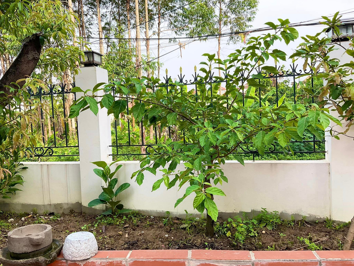 Khung cảnh rất yên bình. Ảnh: FBNV