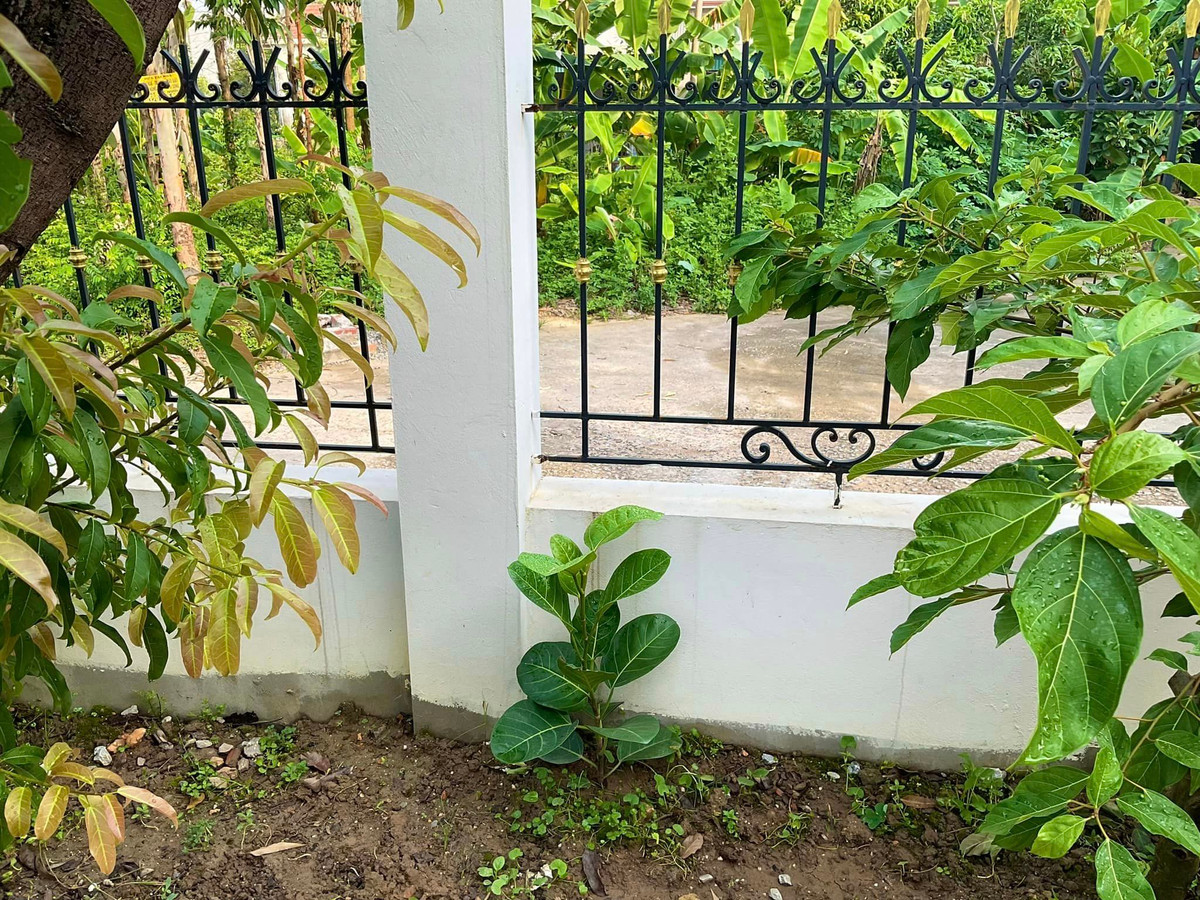 Một góc khác trong khuôn viên sân vườn nhà nam nghệ sĩ. Ảnh: FBNV