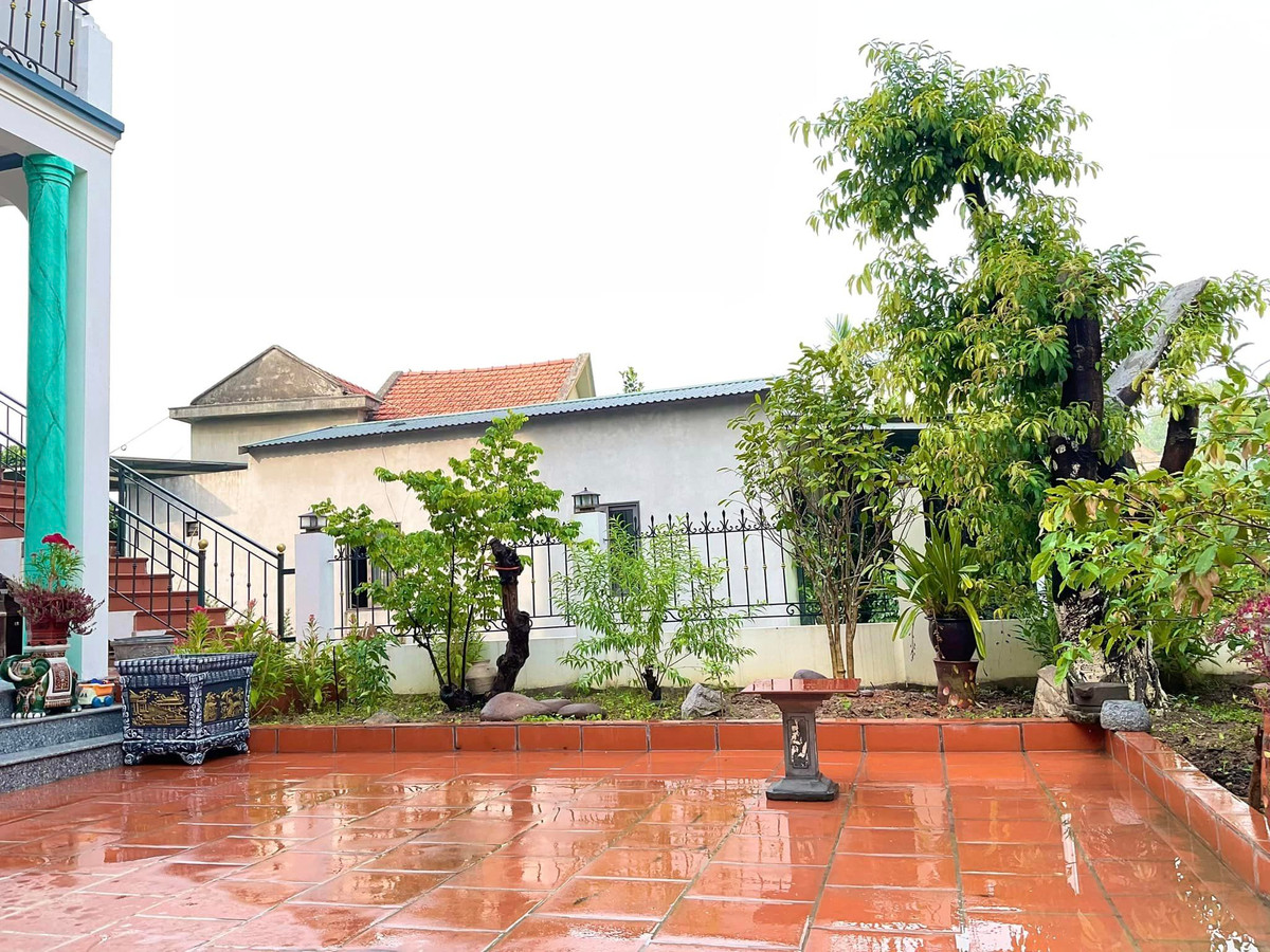 Mới đây, diễn viên Hồ Phong chia sẻ loạt ảnh sân vườn rộng rãi khiến nhiều khán giả trầm trồ. Ảnh: FBNV