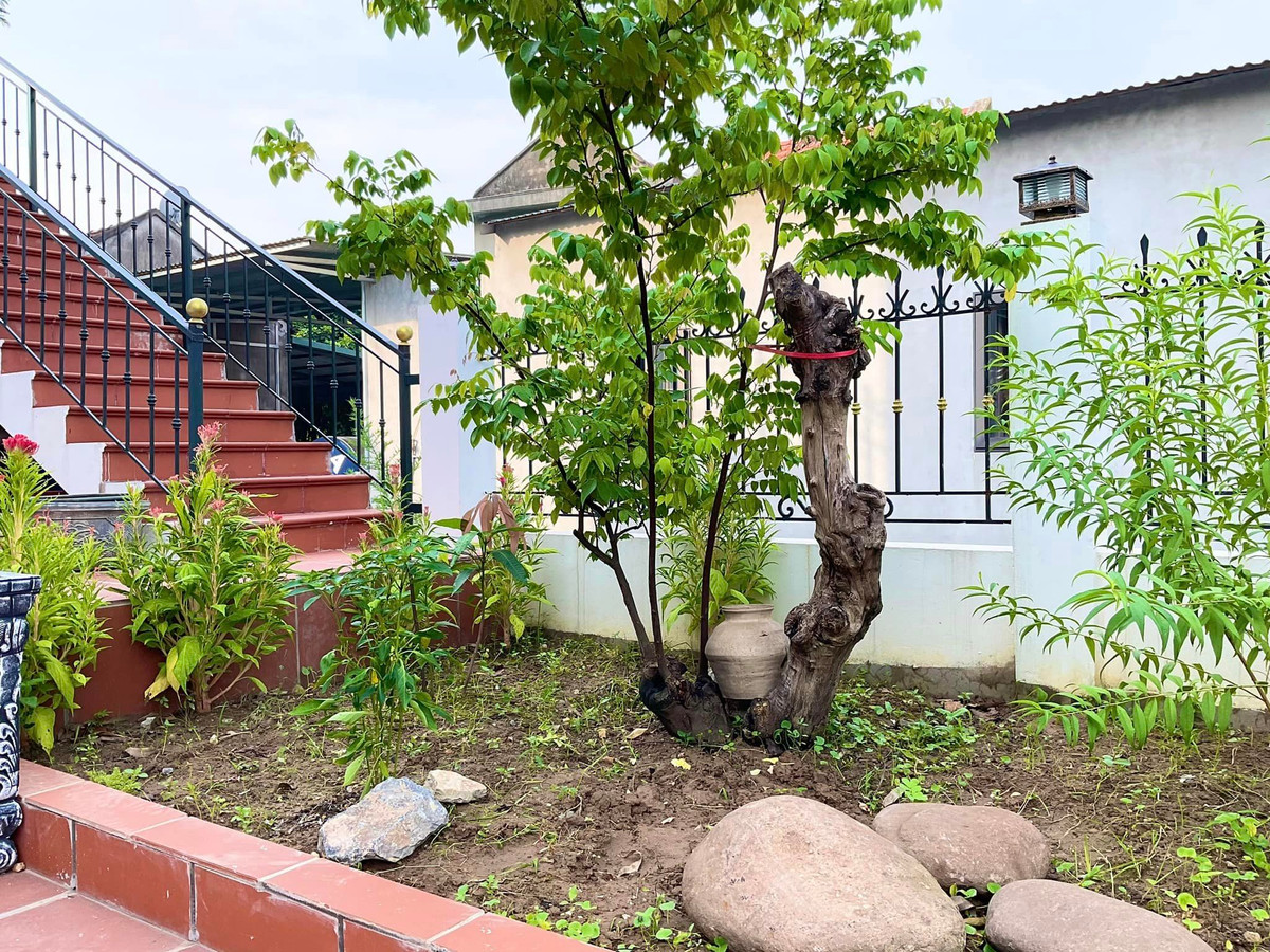 Qua loạt ảnh, nhiều khán giả đoán đây là không gian sân vườn nhà nam nghệ sĩ ở quê. Ảnh: FBNV