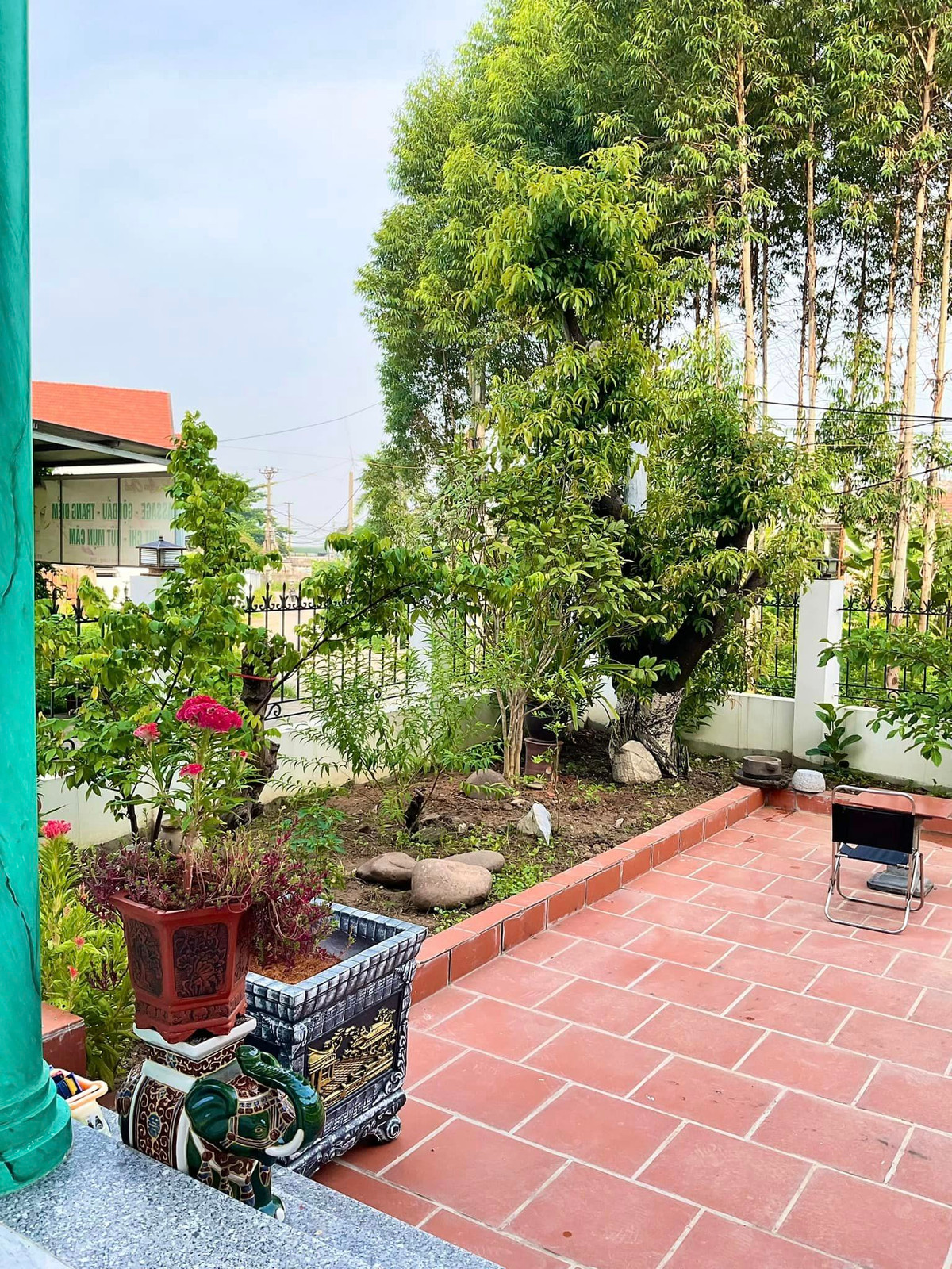 Trong sân vườn có nhiều gốc cây cổ thụ và nhiều cây cảnh khác nhau. Ảnh: FBNV