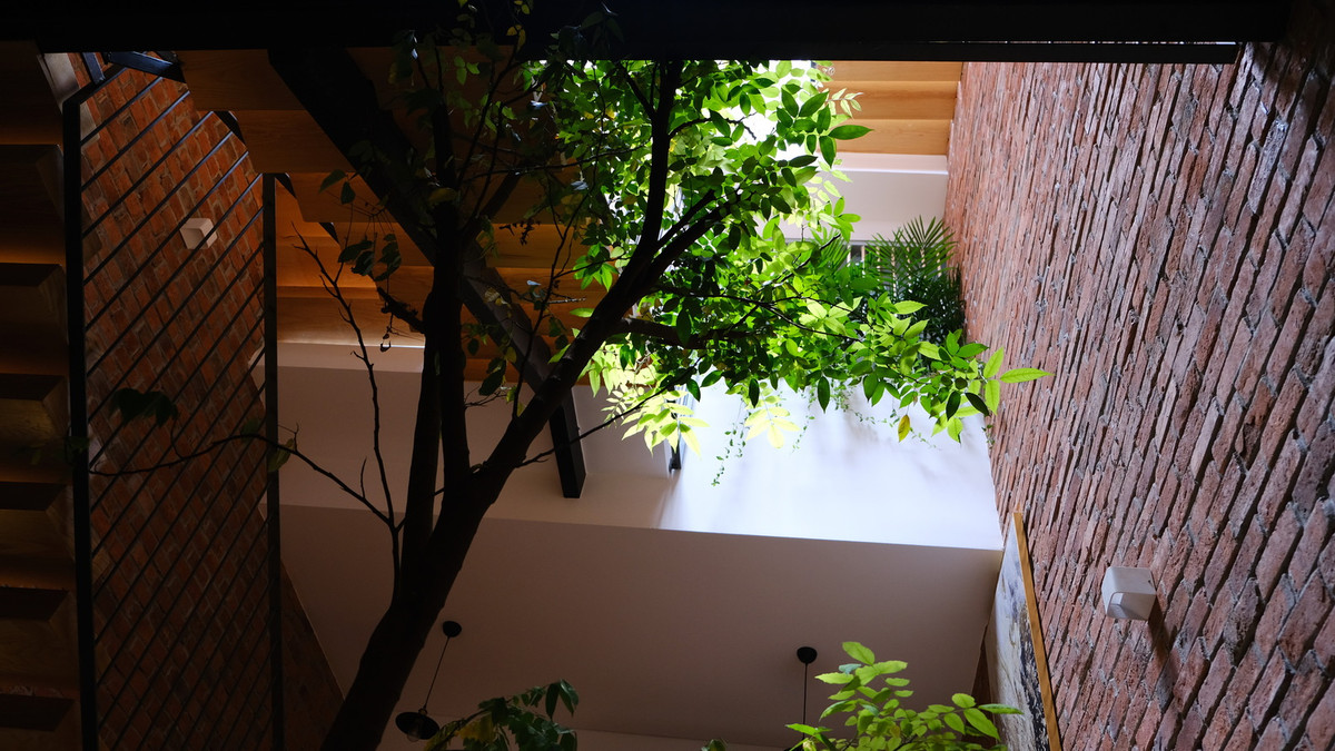 Chủ nhân của ngôi nhà là một gia đình trẻ ba người, mong muốn có một không gian sống tràn ngập ánh sáng và gió tự nhiên. Họ muốn tránh xa sự ngột ngạt của cuộc sống đô thị sau cả ngày dài làm việc.