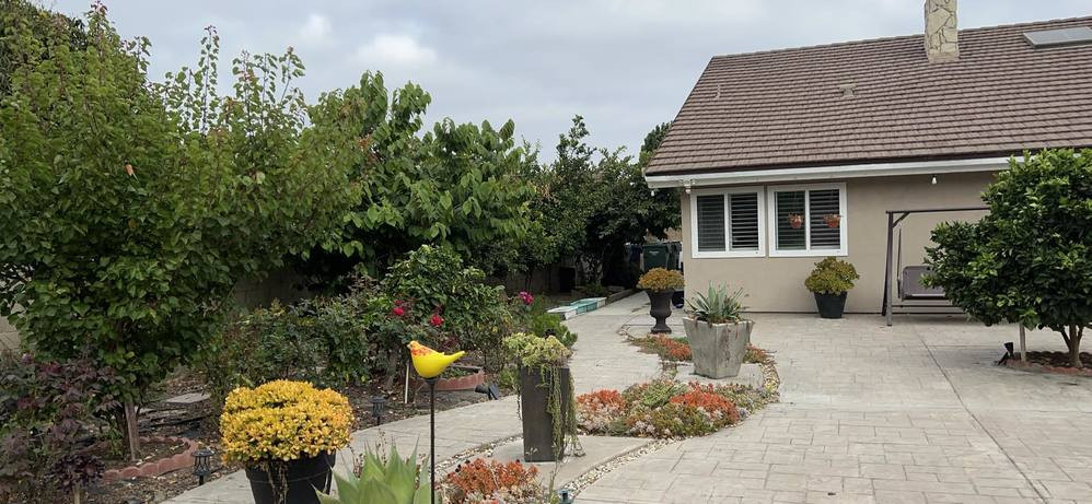 Khu vực sân được thoáng đãng, trồng nhiều cây, hoa và trang bị đầy đủ vật dụng cần thiết như bàn ghế, xích đu, trụ bóng rổ...