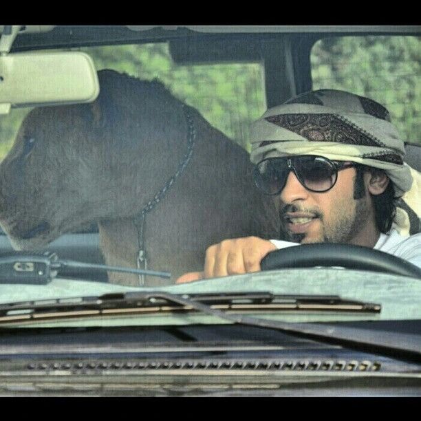 Thậm chí, các đại gia Ả Rập còn mua cả cá mập để phục vụ bữa ăn cho thú cưng.