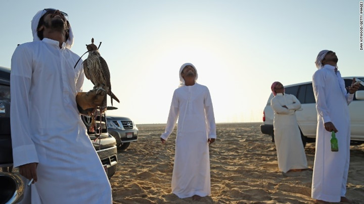 Ngoài hổ, báo, sử tử, các đại gia Trung Đông còn có thú chơi chim ưng xa xỉ.