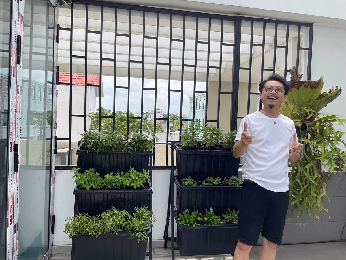 Hứa Minh Đạt cho biết đây là vườn rau đúng như mơ ước của vợ mình. Ảnh: FBNV
