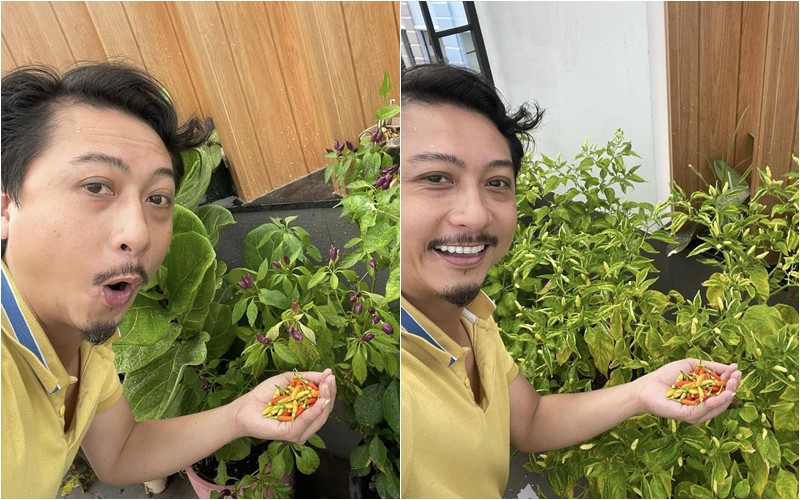 Hứa Minh Đạt từng hào hứng khoe thu hoạch một số lượng ớt đáng kể trên sân thượng. Ảnh: FBNV