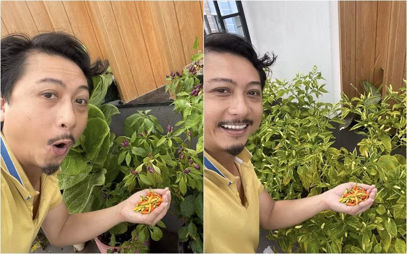 Hứa Minh Đạt từng hào hứng khoe thu hoạch một số lượng ớt đáng kể trên sân thượng. Ảnh: FBNV