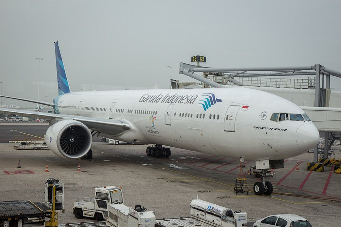 Trước đó, trên thế giới từng xảy ra nhiều sự cố "trời ơi đất hỡi" đến khó tin. Đơn cử như vào tháng 1/2016, một chuyến bay dân dụng ở Indonesia đã bị hoãn 4 giờ vì một con ong. Ảnh: Timetravelturtle