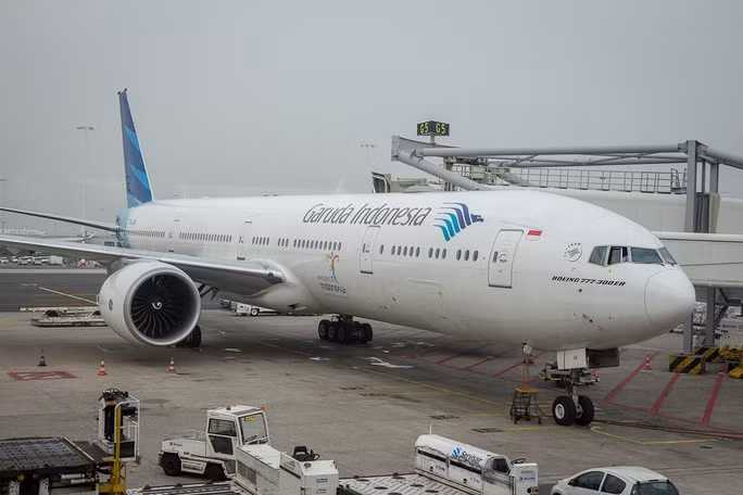 Trước đó, trên thế giới từng xảy ra nhiều sự cố "trời ơi đất hỡi" đến khó tin. Đơn cử như vào tháng 1/2016, một chuyến bay dân dụng ở Indonesia đã bị hoãn 4 giờ vì một con ong. Ảnh: Timetravelturtle