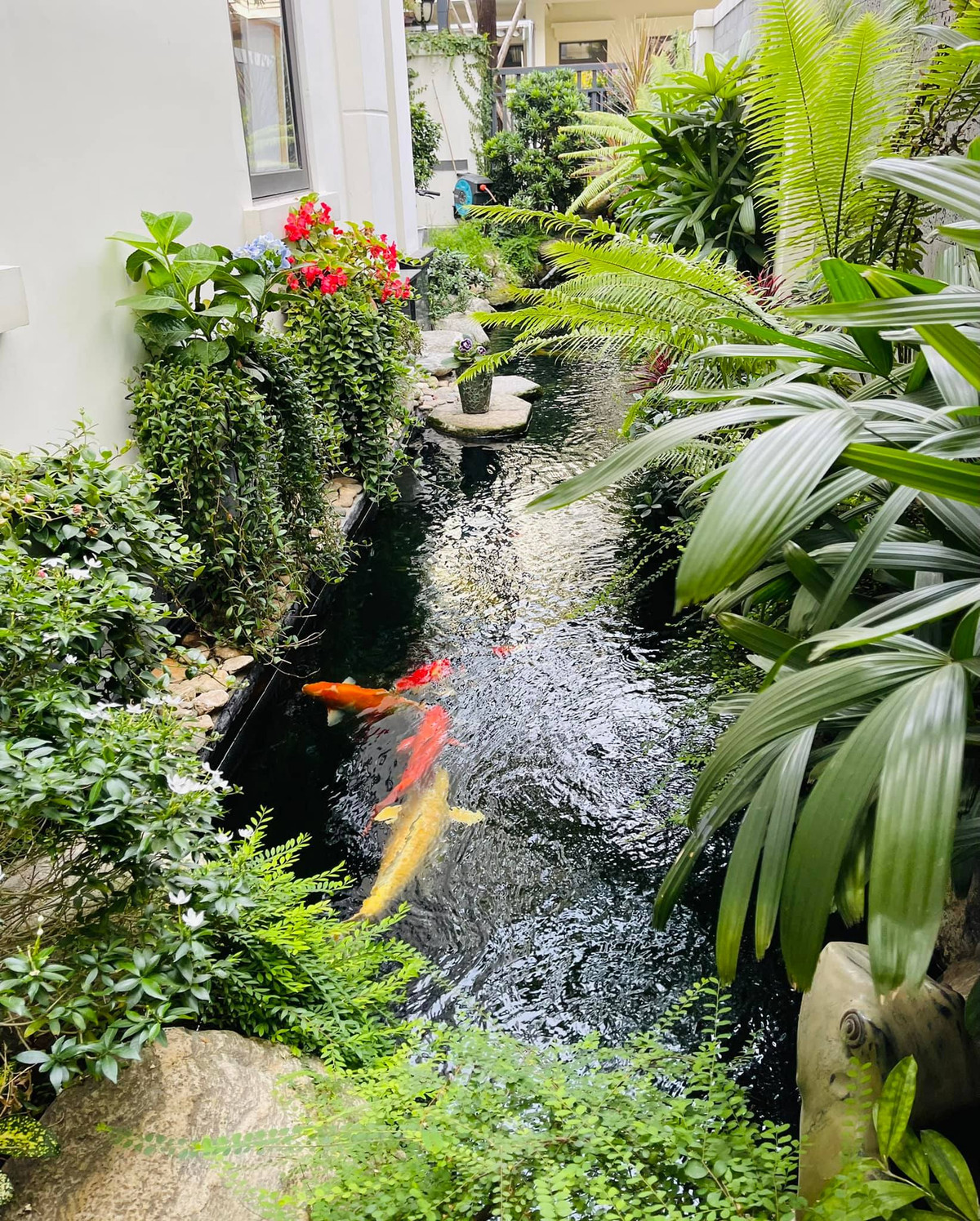 Với tiêu chí biến ngôi nhà thành nơi thư giãn lý tưởng, ông xã MC Vân Hugo bố trí một hồ cá koi lấy cảm hứng từ dòng suối nhỏ.