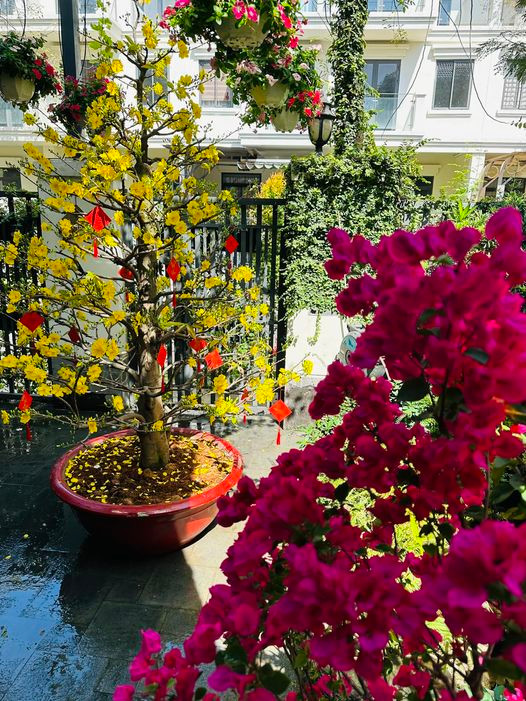 Mùa xuân, cây cối trong vườn tươi tốt và các khóm hoa đua nở. Nguồn ảnh: FBNV