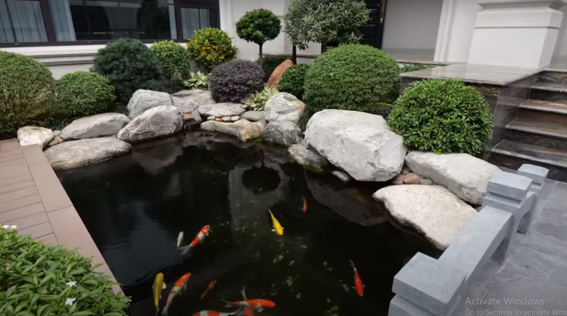 Trong khuôn viên sân vườn có nhiều cây xanh và hồ cá Koi đẹp mắt.