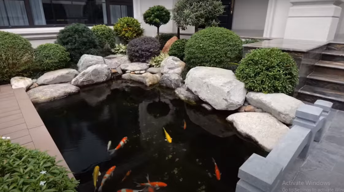 Trong khuôn viên sân vườn có nhiều cây xanh và hồ cá Koi đẹp mắt.