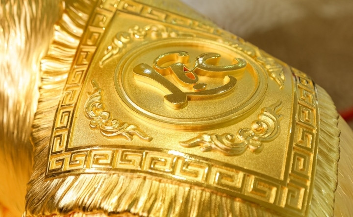 Tấm vải được chú mèo “khoác” trên lưng có chữ “lộc” . Ảnh: VTCNews