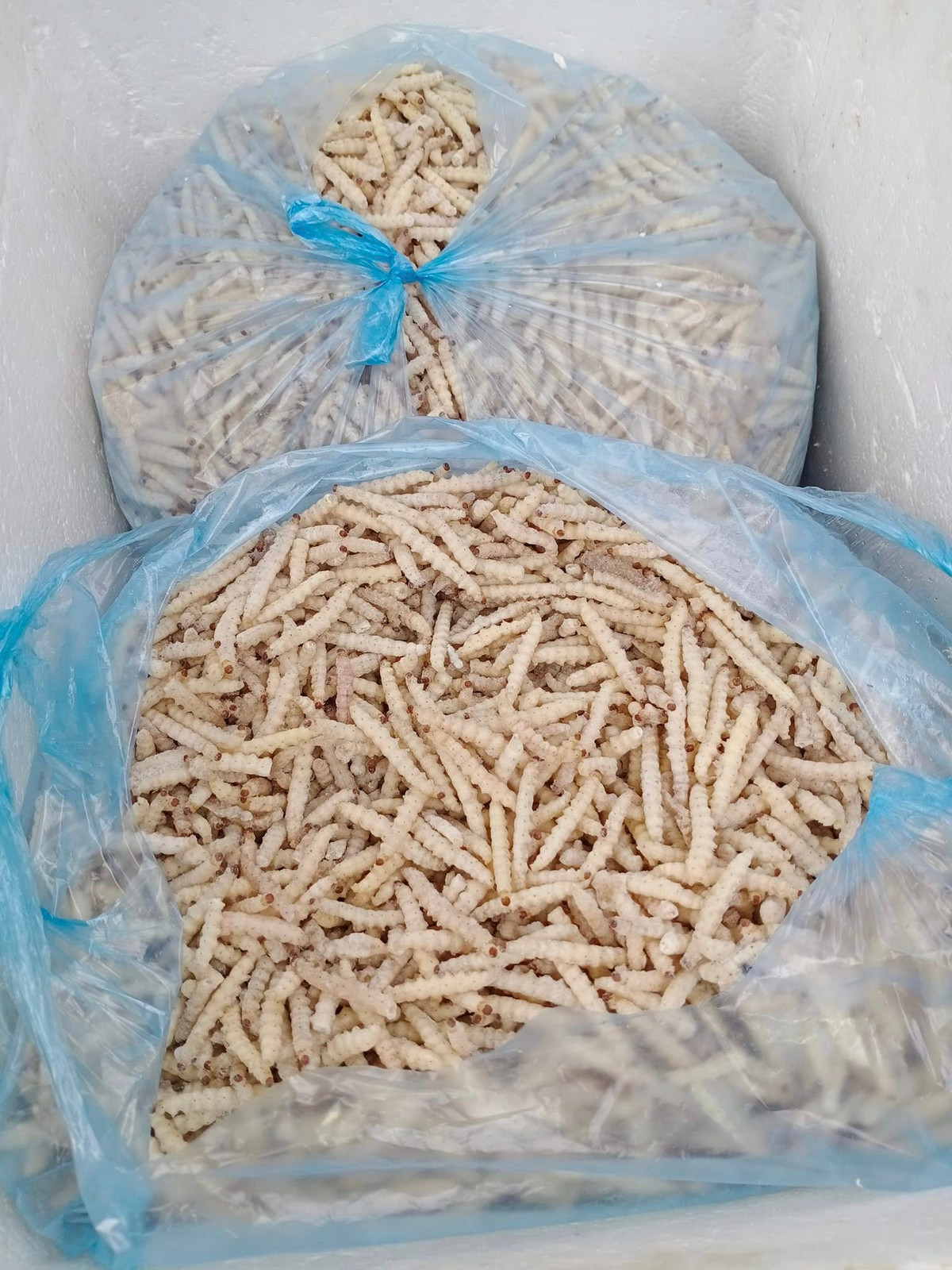 Có thời điểm, giá sâu tre lên tới nửa triệu đồng/kg vẫn được nhiều chị em lùng mua. Ảnh: Facebook