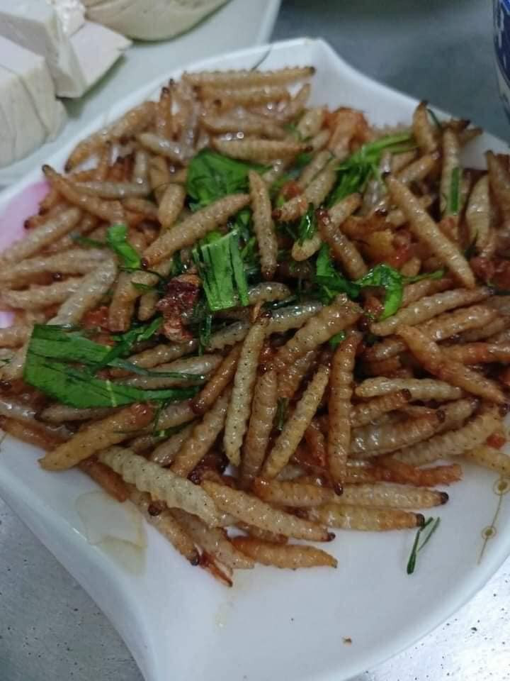 Tương tự, sâu tre - đặc sản nổi tiếng vùng Tây Bắc cũng khiến nhiều cảm thấy ghê rợn khi nhìn thấy. Ảnh: Facebook