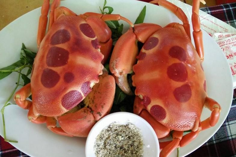  Cua mặt trăng có nhiều ở một số nơi như đảo Phú Quý (Bình Thuận), Côn Đảo, đảo Lý Sơn... Hiện tại, loại cua này chủ yếu được khai thác trong tự nhiên nên số lượng không nhiều. Ảnh: Dân Việt