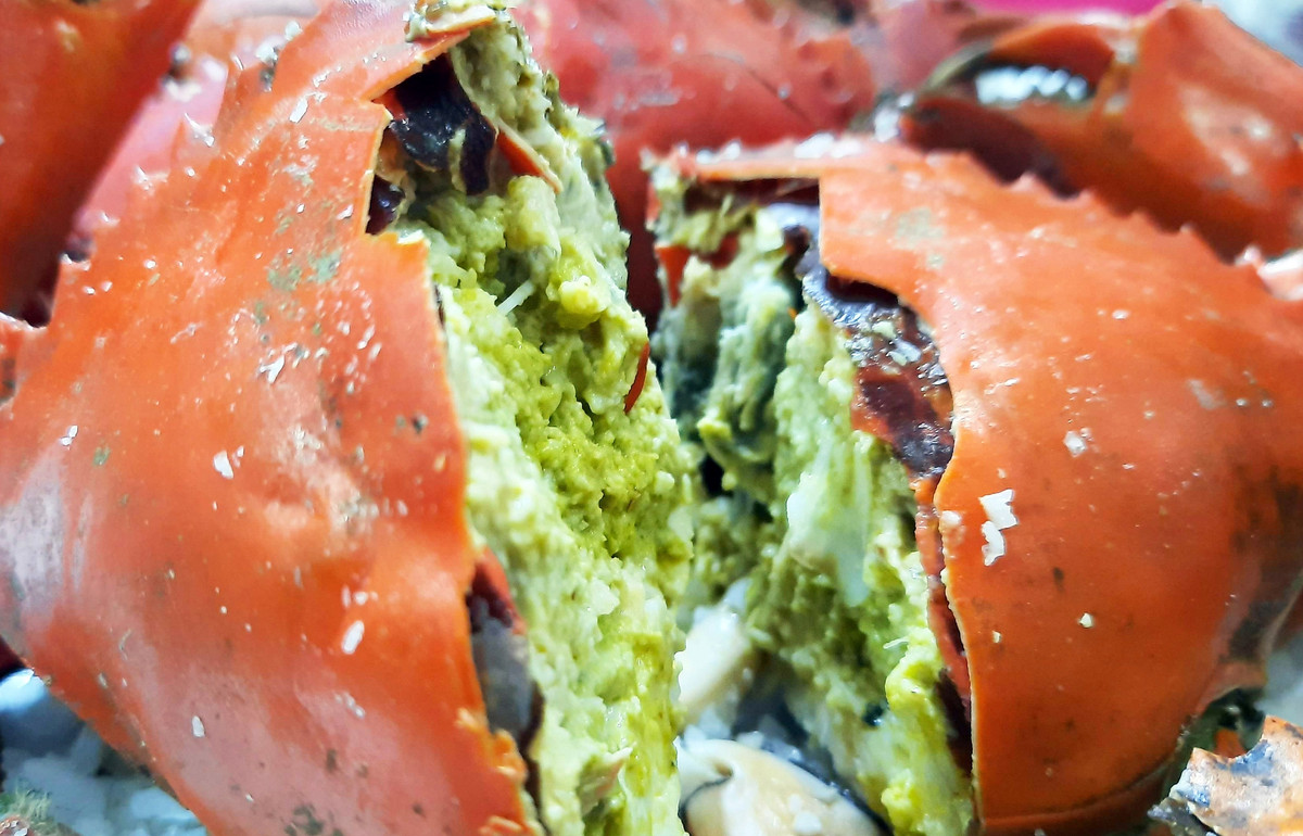 Cua hai da (còn gọi cua cốm hay cua lột) là đặc sản nổi tiếng ở Cà Mau. Với chất lượng thịt thơm ngon đặc trưng, nhiều du khách sẵn sàng chi số tiền lớn để thưởng thức loại cua này. Ảnh; Dân Việt