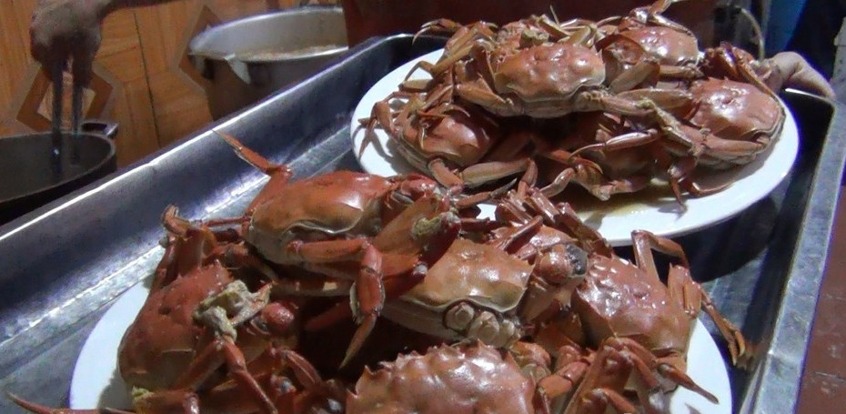 Cua da gần giống cua đồng nhưng kích thước và trọng lượng tối đa lớn gấp 3-4 lần (trung bình 0,8-2 lạng/con). Ảnh: Báo Bắc Giang