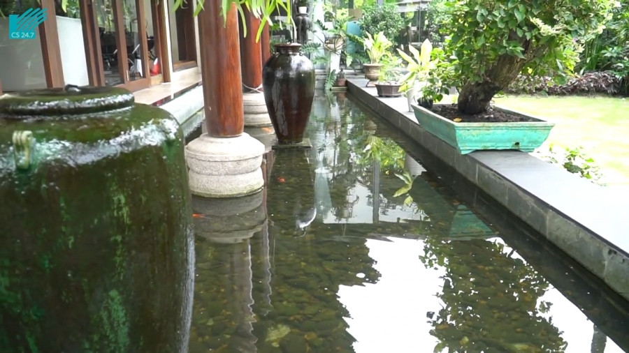 Bao quanh căn nhà là khuôn viên xanh mát với vườn cây, ao cá. Ảnh: 2dep