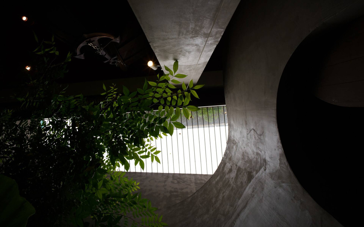 Cây xanh và ánh sáng không hề thiếu tại căn nhà. Nguồn ảnh: Dũng Huỳnh