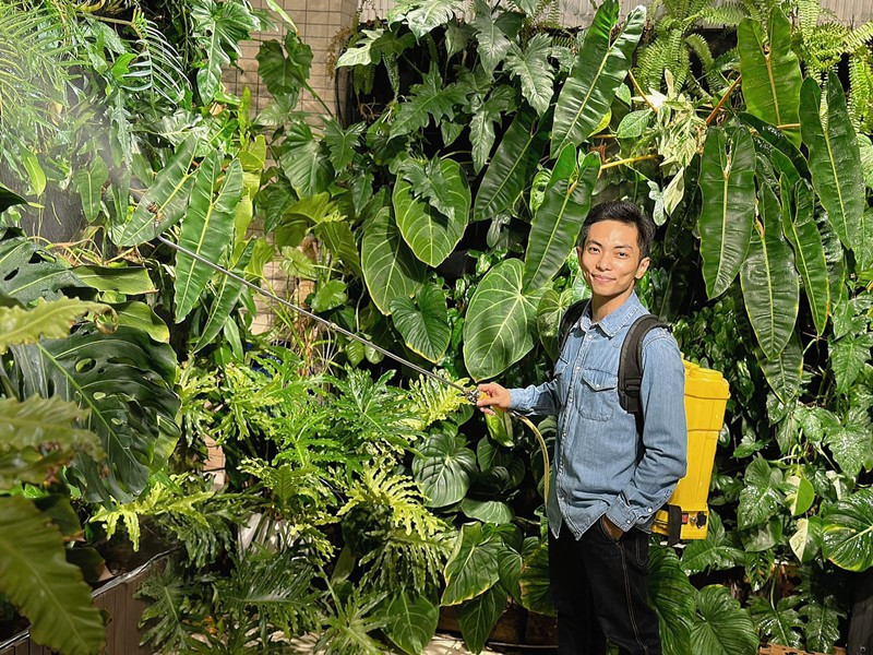 Trước đó, Phan Hiển chia sẻ ảnh chăm sóc khu vườn và còn gọi mình là "Kiện tướng về vườn".