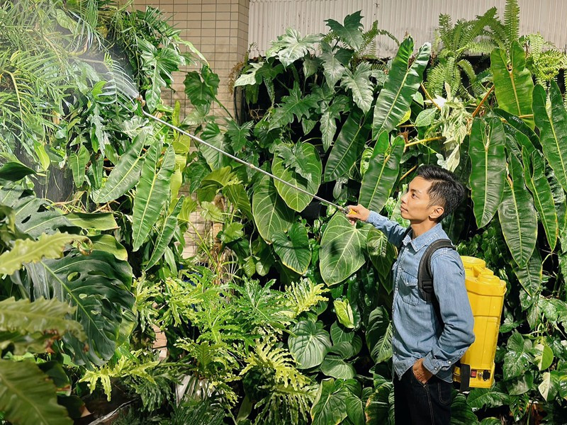 Khu vườn kiểng lá giúp không gian đẹp, xanh tươi và việc chăm sóc không quá vất.