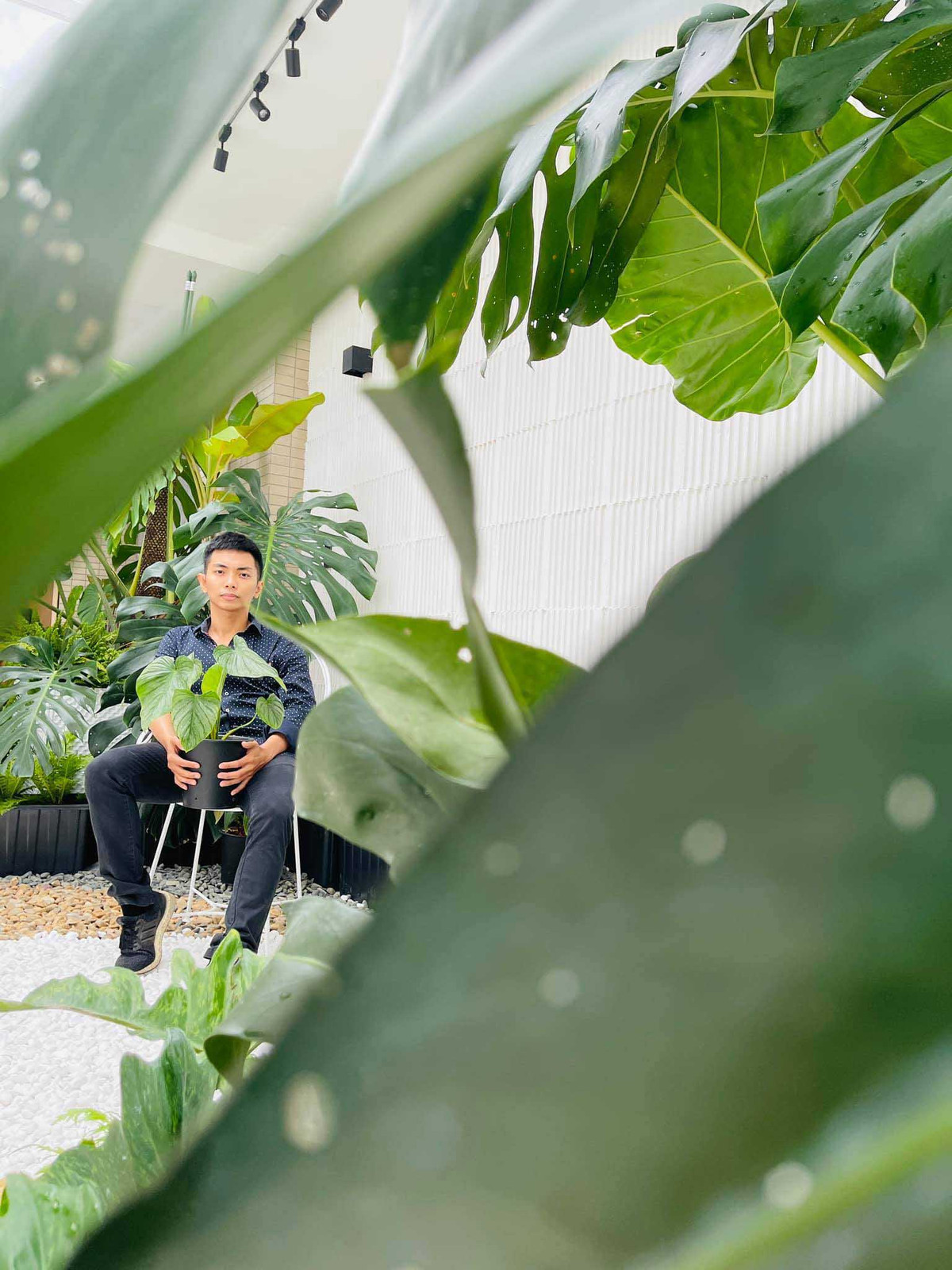 Khánh Thi rất trân quý khu vườn mà chồng bỏ ra nhiều công sức, tâm huyết. Nguồn ảnh: FBNV