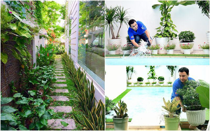 Hồ bơi được thiết kế bên hông nhà phục vụ sở thích bơi lội của hai công chúa.