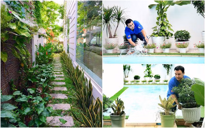 Hồ bơi được thiết kế bên hông nhà phục vụ sở thích bơi lội của hai công chúa.