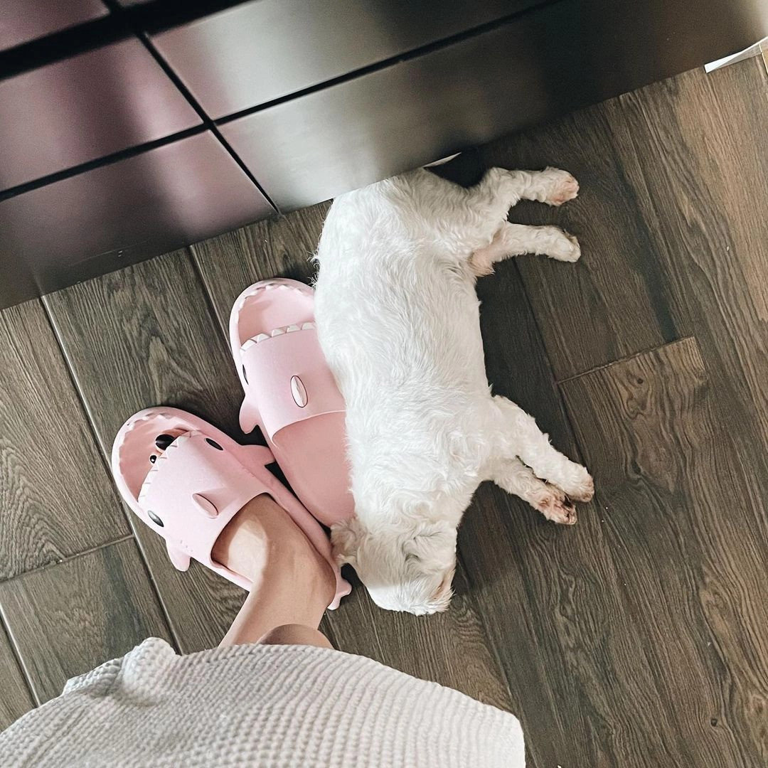 Sàn nhà chủ yếu được ốp bằng gỗ.