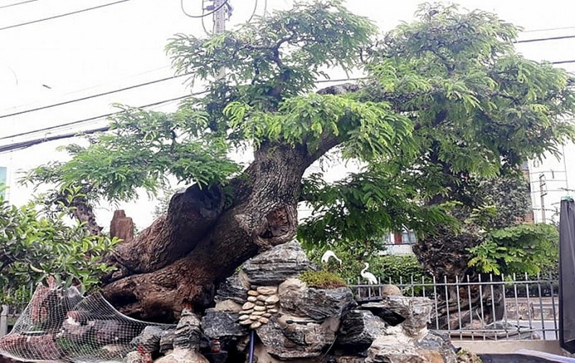 Nhìn tổng thể, tác phẩm me phong cảnh hữu tình theo dáng thác đổ mây bay. Ảnh: Thuonghieusanpham