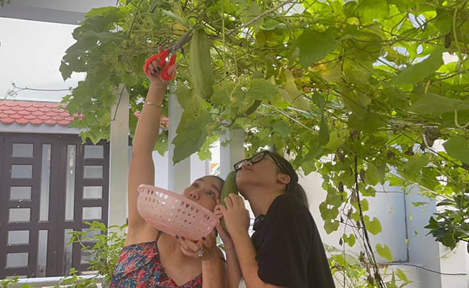 Trước đó, "bà mối" của chương trình "Bạn Muốn Hẹn Hò" khoe giàn mướp không sai lúc lỉu nhưng quả thơm, ngon. Ảnh: FBNV