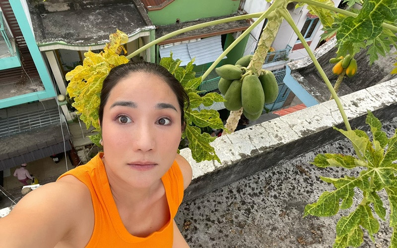 Thế nhưng, sau đó Cát Tường đã mạo hiểm leo lên nóc nhà để hái đu đủ. Ảnh chụp màn hình