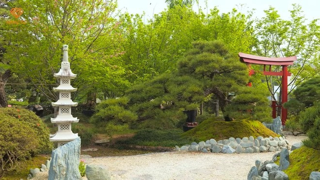 Các chi tiết mang đậm phong cách Nhật Bản gồm cây thông, anh đào, cổng gỗ Torii đều được gia chủ phân bổ phù hợp.