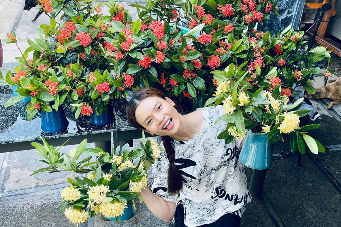 Phạm Phương Thảo còn trồng nhiều loại hoa khác nhau.