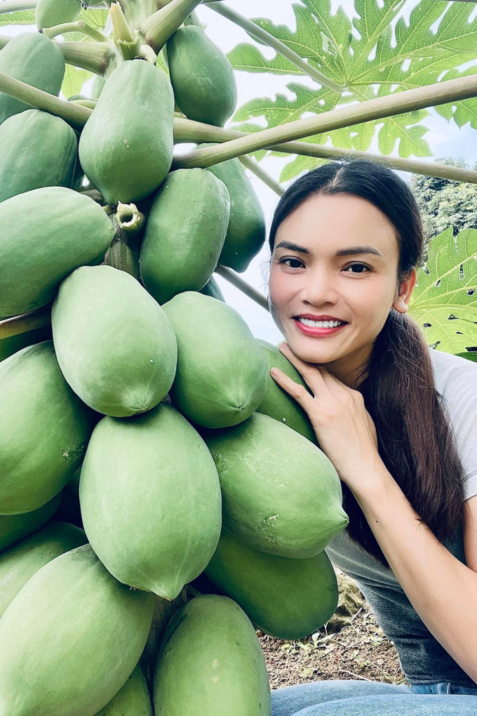 Nữ ca sĩ trồng nhiều loại cây ăn trái như đu đủ, mít, bưởi... trong khuôn viên 8.000 m2.