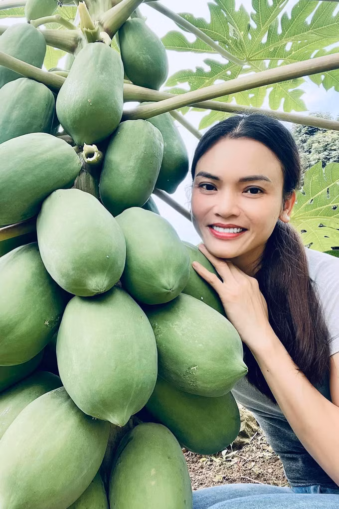 Nữ ca sĩ trồng nhiều loại cây ăn trái như đu đủ, mít, bưởi... trong khuôn viên 8.000 m2.