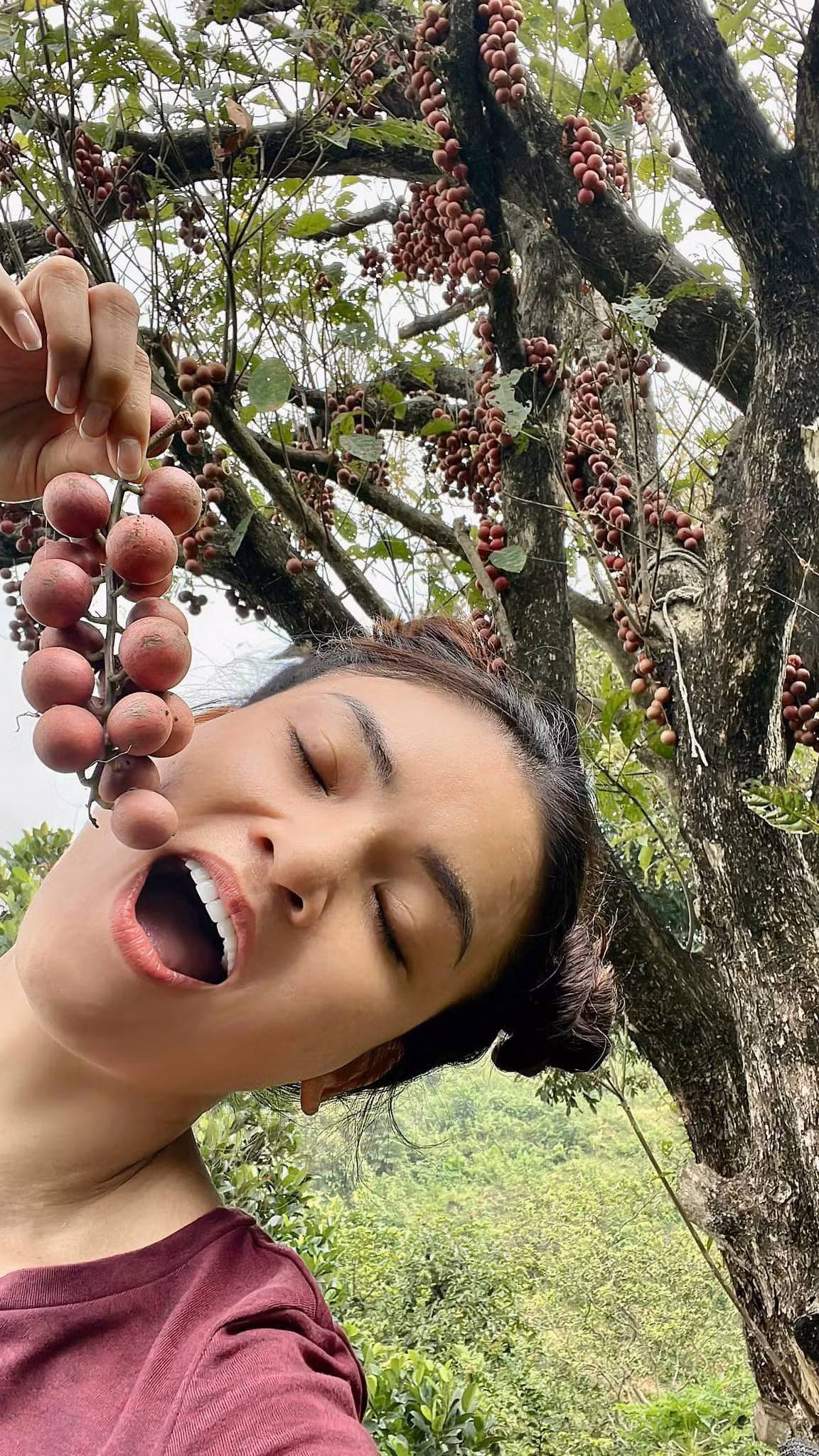 Biệt phủ của Phạm Phương Thảo được đặt tên là Thuận Thiên Điện.