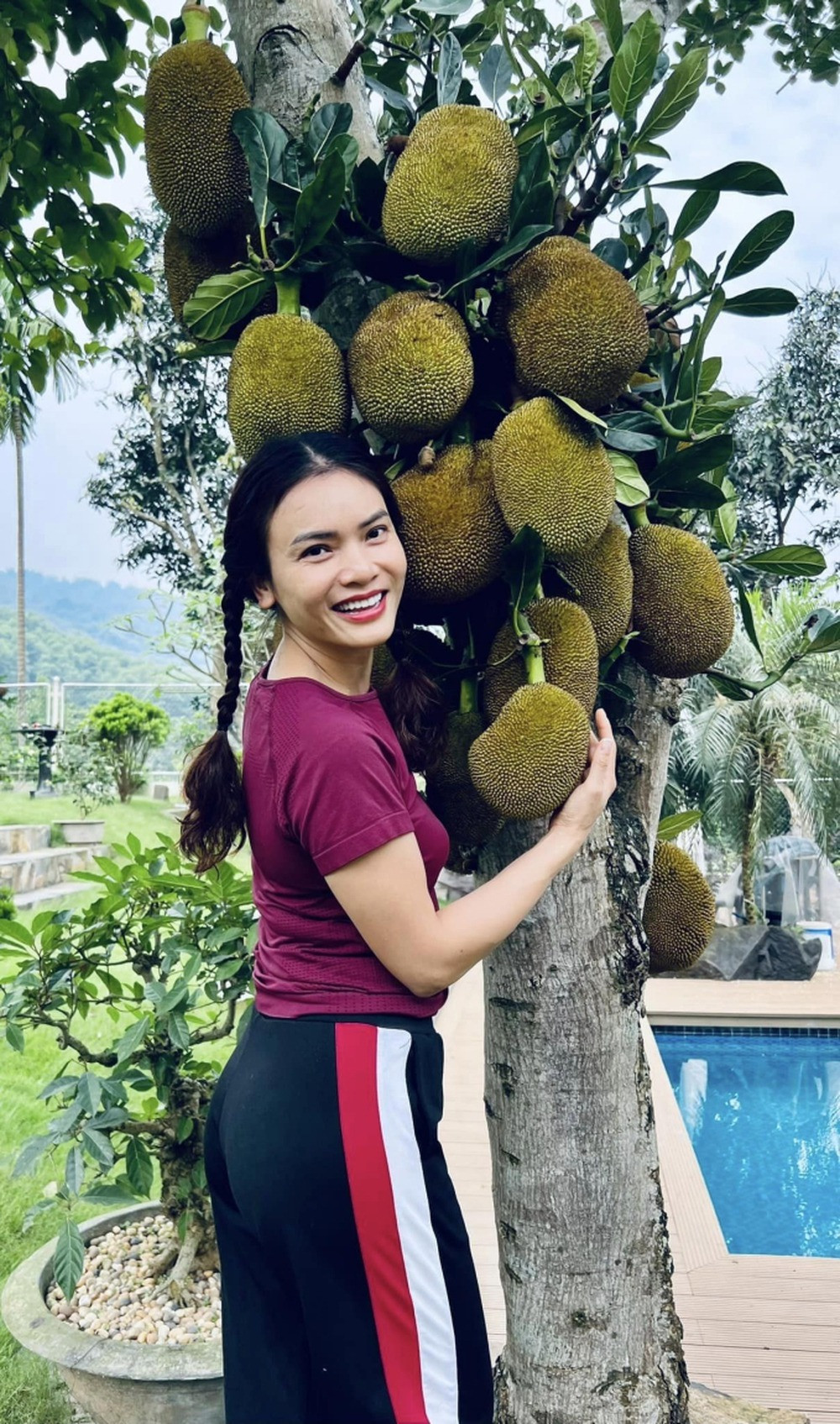 Cây mít chi chít quả trông thích mắt.