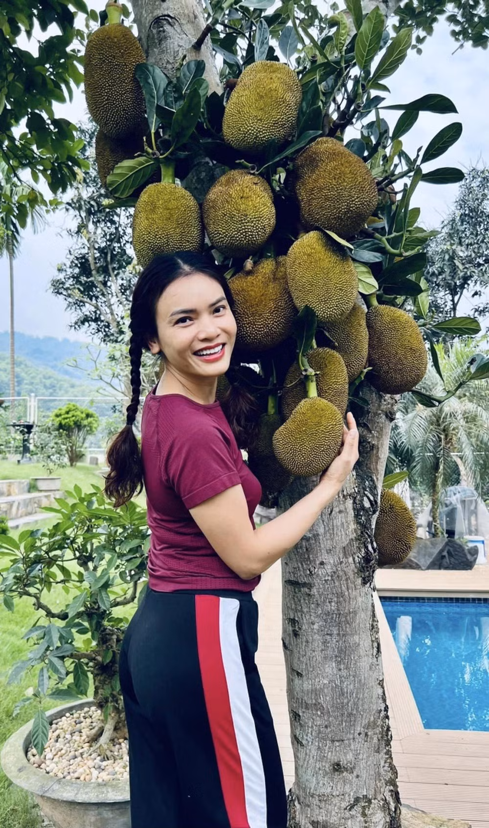 Cây mít chi chít quả trông thích mắt.