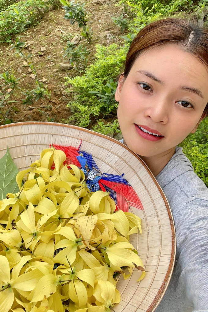 Vườn nhà Phạm Phương Thảo có một dãy cây hoàng lan cao bằng đầu người nhưng đã rất sai hoa.