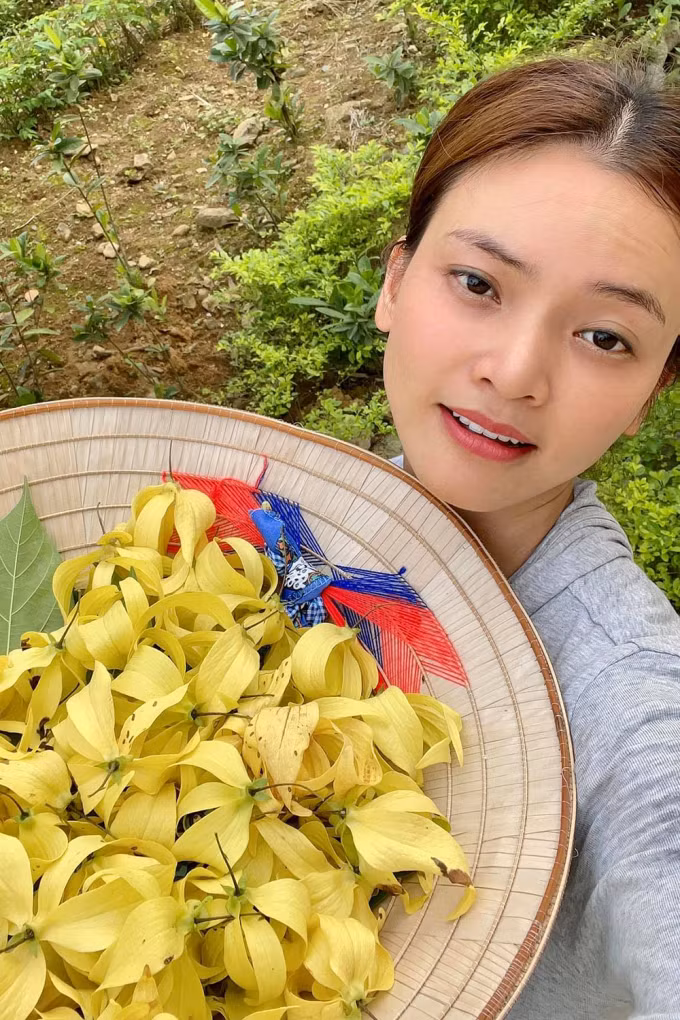 Vườn nhà Phạm Phương Thảo có một dãy cây hoàng lan cao bằng đầu người nhưng đã rất sai hoa.