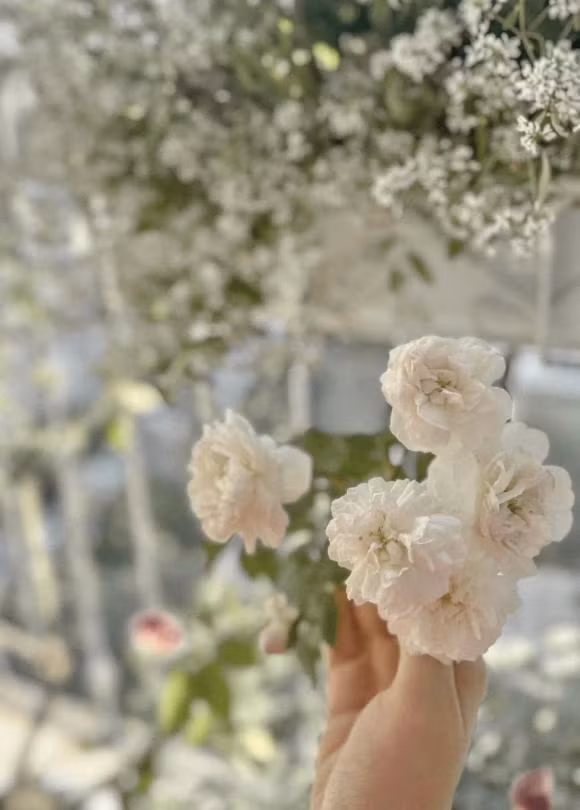 Những cánh hồng phớt làm không gian thanh khiết và bình yên hơn.