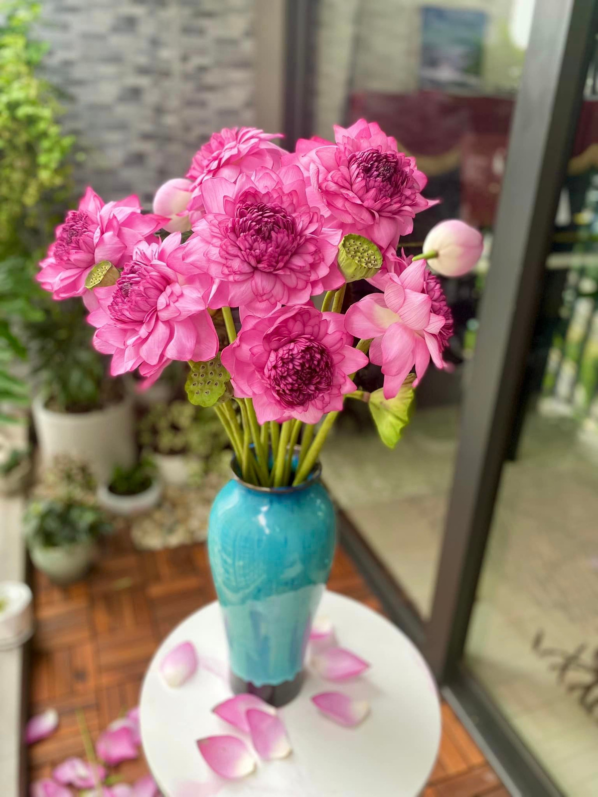 Năm 2019, sen nghìn cánh từng tạo nên "cơn sốt" trong giới yêu hoa bởi vẻ đẹp độc đáo, lạ mắt. Ảnh: Facebook