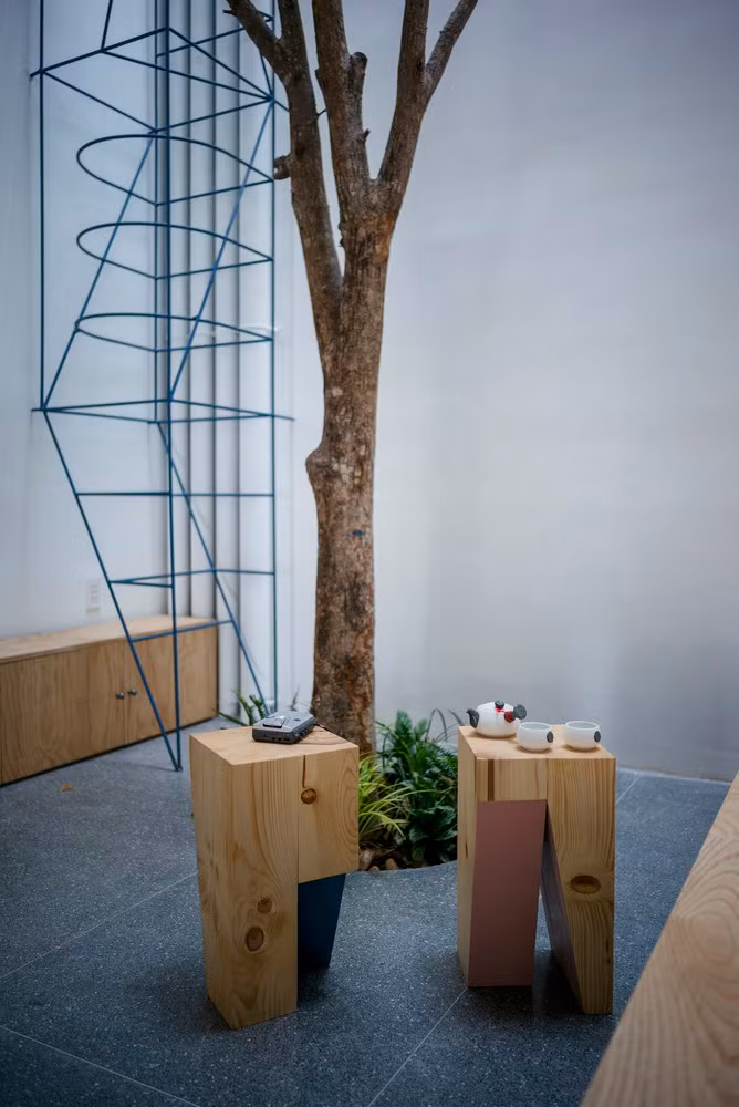 Với mô hình nhà ống trong hẻm như này, cây xanh dưới giếng trời giúp không khí trong nhà thoáng mát, tạo cảnh quan “xanh”.