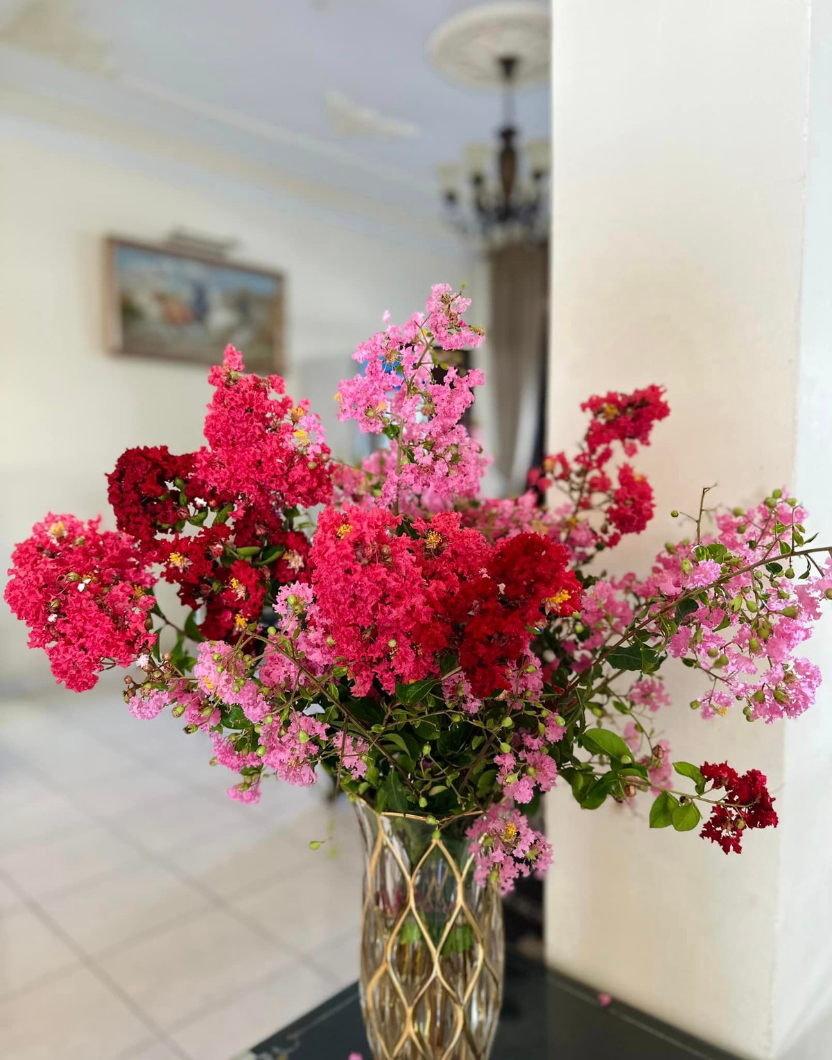 Hoa tường vi nở rộ khắp vườn, nữ ca sĩ hái vài cành vào cắm khắp nơi trong nhà.